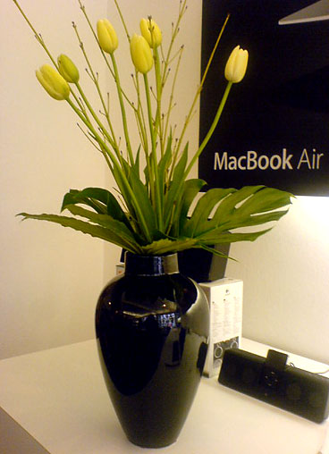 wöchentlich frischen Blumenschmuck für Ihr Büro, Ihre Praxis, Ihren Laden oder Ihr Zuhause